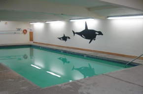 Отель The Dublin House Motel  Ячатс